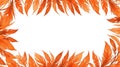 albedobase xl orange feather themed border frame on white back ai generated Royalty Free Stock Photo