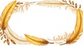 albedobase xl yellow feather themed border frame on white back ai generated Royalty Free Stock Photo
