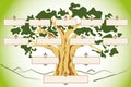 Albero Genealogico 2bn Royalty Free Stock Photo