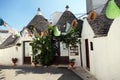 Alberobello, Valle d`Itria and the Murgia dei Trulli