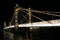 Albert Bridge Royalty Free Stock Photo