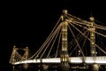 Albert Bridge in London. Night Royalty Free Stock Photo