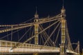 Albert bridge at night Royalty Free Stock Photo