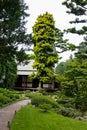 Albert Khan - japanese garden Royalty Free Stock Photo