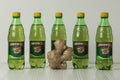 ALBERTA, CANADA November 11, 2020 Plastic bottle 710 ML of Canada Dry Ginger Ale.with a ginger root in front Royalty Free Stock Photo