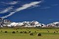 Alberta countryside