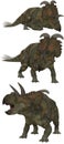 Albertaceratops Royalty Free Stock Photo
