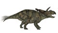 Albertaceratops dinosaur - 3D render Royalty Free Stock Photo