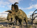 Albertaceratops dinosaur in the desert - 3D render Royalty Free Stock Photo