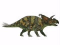 Albertaceratops on White