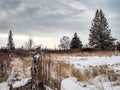 Albertan winter scenery