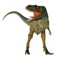 Albertosaurus Dinosaur Front Royalty Free Stock Photo