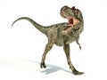 Albertosaurus Dinosaur, photorealistic representation, dynamic p Royalty Free Stock Photo