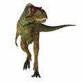 Albertosaurus Dinosaur Predator Royalty Free Stock Photo