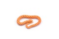 Albino hognose snake isolated on white background Royalty Free Stock Photo
