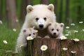 Albino polar bears in the forest. Mother bear with cubs with flowers.