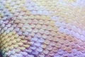 Albino python snake skin texture background close up Royalty Free Stock Photo