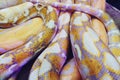 Albino python snake skin texture background close up Royalty Free Stock Photo