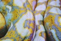 Albino python snake skin texture background close up Royalty Free Stock Photo