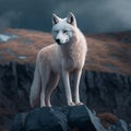 The albino Wolf Royalty Free Stock Photo