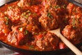 Albondigas meatballs with spicy sauce on a dish macro. horizontal