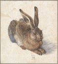 Albrecht DÃÂ¼rer, Young Hare, watercolor paint, 1502 Royalty Free Stock Photo