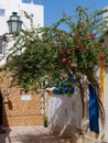 ALBUFEIRA, SOUTHERN ALGARVE/PORTUGAL - MARCH 10 : Street Scene i