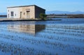 The Albufera natural park, a wetland of international importance in the Valencia region, threatened by water pollution and unsusta Royalty Free Stock Photo