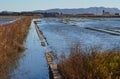 The Albufera natural park, a wetland of international importance in the Valencia region, threatened by water pollution and unsusta Royalty Free Stock Photo