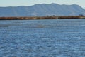 The Albufera natural park, a wetland of international importance in the Valencia region, threatened by water pollution and unsusta Royalty Free Stock Photo