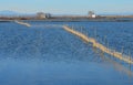 The Albufera natural park, a wetland of international importance in the Valencia region, threatened by water pollution and unsusta Royalty Free Stock Photo