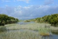 Albufera National Park Royalty Free Stock Photo