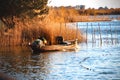 Albufera Royalty Free Stock Photo