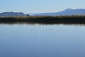 The Albufera natural park, a wetland of international importance in the Valencia region, threatened by water pollution and unsusta Royalty Free Stock Photo