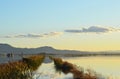 The Albufera natural park, a wetland of international importance in the Valencia region, threatened by water pollution and unsusta Royalty Free Stock Photo