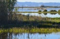 The Albufera natural park, a wetland of international importance in the Valencia region, threatened by water pollution and unsusta Royalty Free Stock Photo