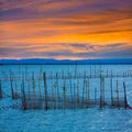 Albufera sunset lake park in Valencia el saler