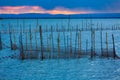 Albufera sunset lake park in Valencia el saler