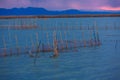 Albufera sunset lake park Valencia el saler Spain