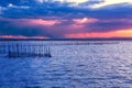 Albufera sunset lake park Valencia el saler Spain Royalty Free Stock Photo