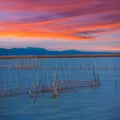 Albufera sunset lake in Valencia el saler Spain