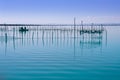 Albufera Valencia lake wetlands mediterranean Royalty Free Stock Photo