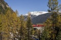Albula train Royalty Free Stock Photo