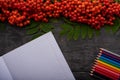 Album, colored pencils bunch of rowan on wooden table Royalty Free Stock Photo