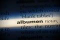 Albumen