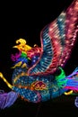Dragon Lights Albuquerque, Silk Phoenix lantern. Chinese traditional art celebrates the Chinese New Year