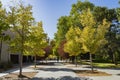 Sunny view of the beautiful campus of The University of New Mexico Royalty Free Stock Photo
