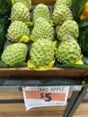 The group of big custard apple selling 5 dollars per each at Harris Farm Markets.