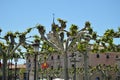 Alcala De Henares Town Hall Facade Behind Some Lovely Intertwined Trees Birthplace Of Miguel De Cervantes. Architecture Travel His