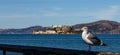 Alcatraz island seen from the city. Royalty Free Stock Photo